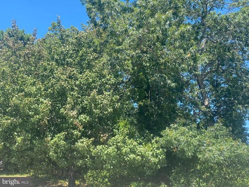 0 Levi S Rd, Manahawkin, NJ, 08050 | Card Image