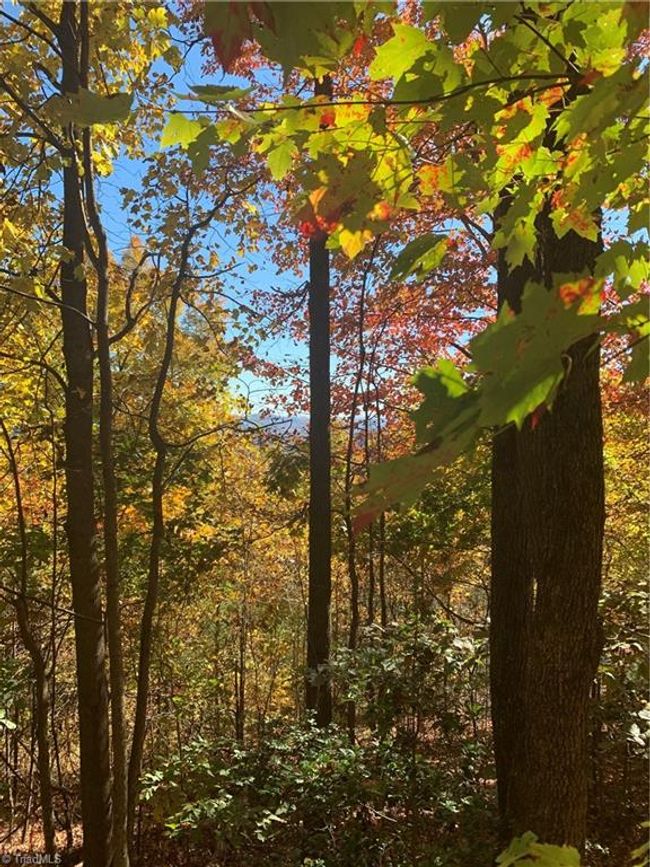 Lot 9 Falcon Ridge Dr, Home with 0 bedrooms, 0 bathrooms and null parking in Moravian Falls NC | Image 5