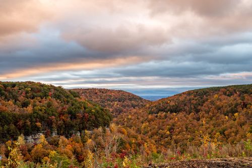 0 Worley Rd, Soddy Daisy, TN, 37379 | Card Image