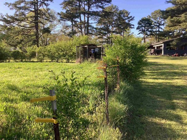 195 Pine Ridge Rd, House other with 3 bedrooms, 2 bathrooms and null parking in Rose Bud AR | Image 9