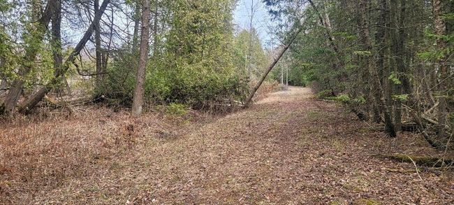 Lt0 E State Highway M35, Home with 0 bedrooms, 0 bathrooms and null parking in INGALLSTON MI | Image 14