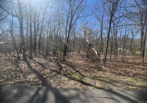 105 Opal Ln Lane, Horseshoe Bend, AR, 72512 | Card Image