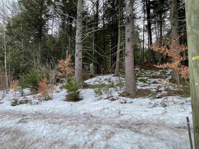 Lot 53 Apple Hill Rd, Home with 0 bedrooms, 0 bathrooms and null parking in Sullivan NH | Image 8