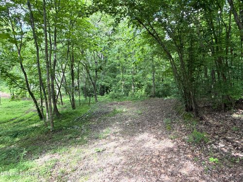 316 Wiley Town Rd, Newport, TN, 37821 | Card Image