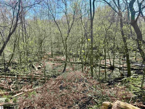 11000 Riverside Drive, St Louis, MI, 48880 | Card Image