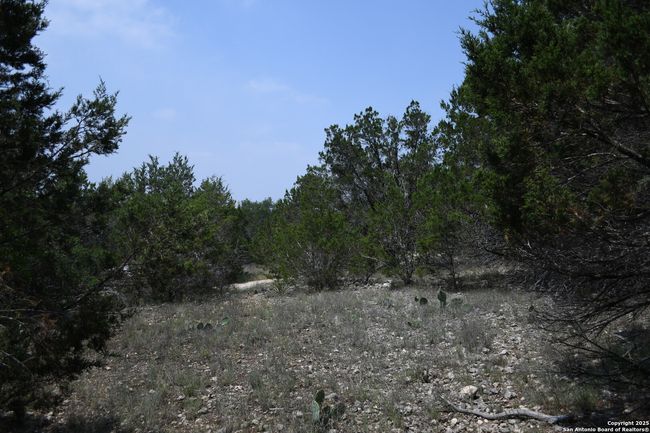 135 Agarita Dr, Home with 0 bedrooms, 0 bathrooms and null parking in Spring Branch TX | Image 6