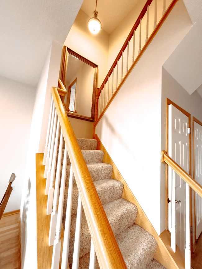 IMG_5047.jpg | Image 14