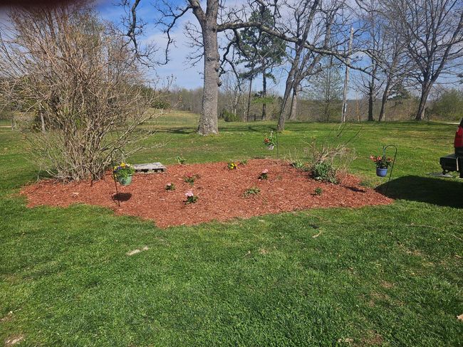 Front Yard | Image 19