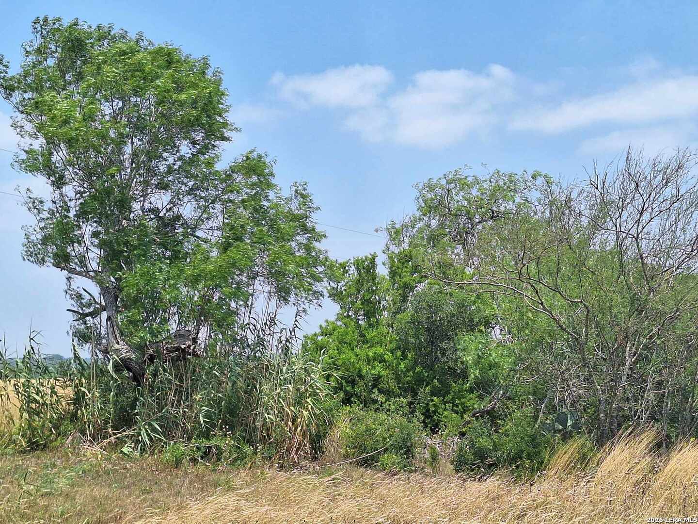 Residential in Kenedy 5