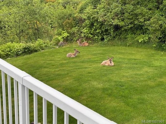 570 Venture Pl, House other with 2 bedrooms, 2 bathrooms and 3 parking in Port McNeill BC | Image 24