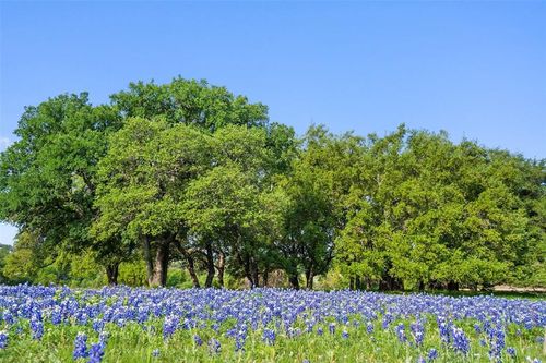 27132 Founders Pl, Spicewood, TX, 78669-3100 | Card Image