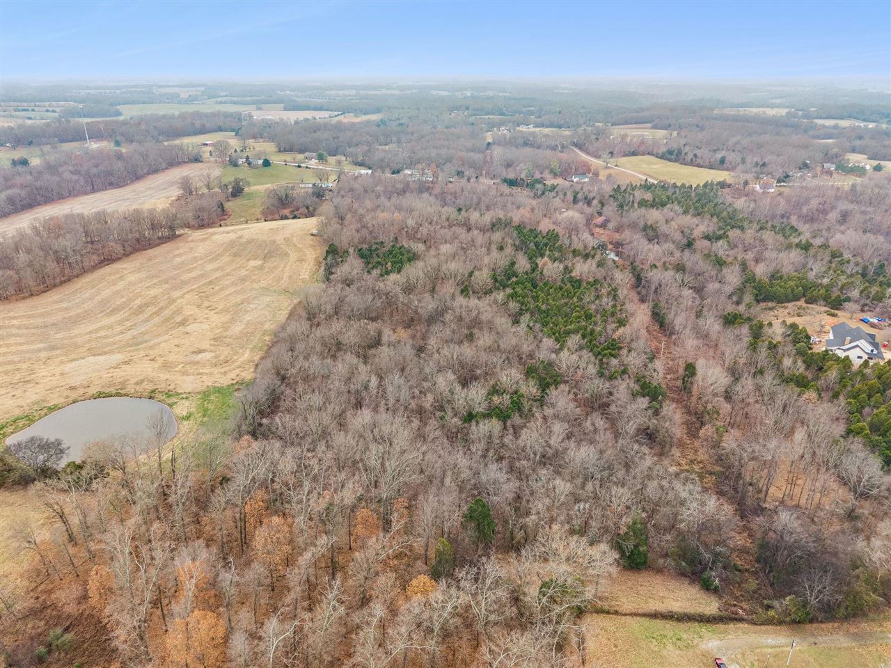 Land in Bowling Green