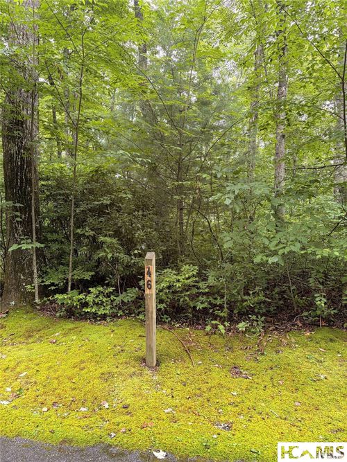 46 Skeen Mill Lane, Cullowhee, NC, 28723 | Card Image