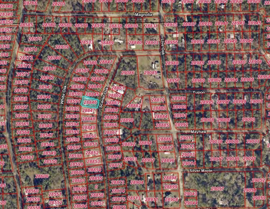 Land in Plantersville 2