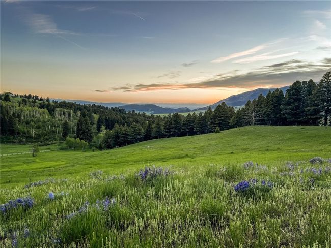 Looking West towards Bozeman and the distant Tobacco Root mountains. | Image 68