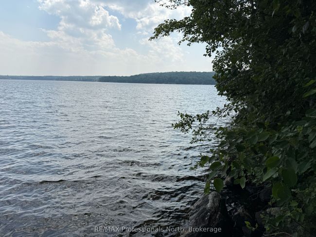 0 Halls Lake Rd, Home with 0 bedrooms, 0 bathrooms and null parking in Algonquin Highlands ON | Image 10