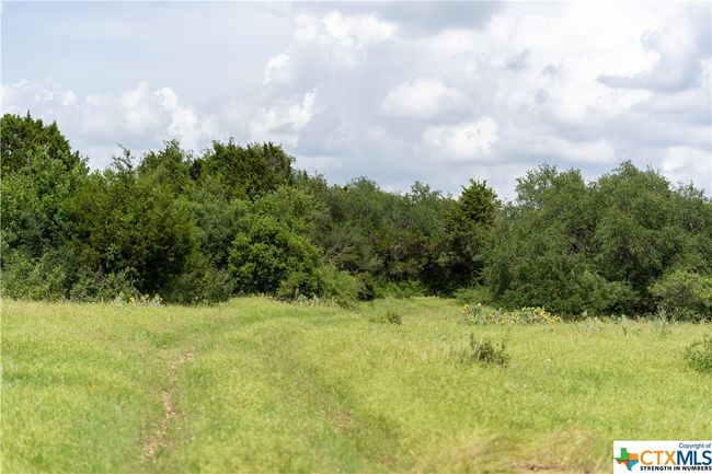 12283 Crows Ranch Rd, Home with 0 bedrooms, 0 bathrooms and null parking in Salado TX | Image 15