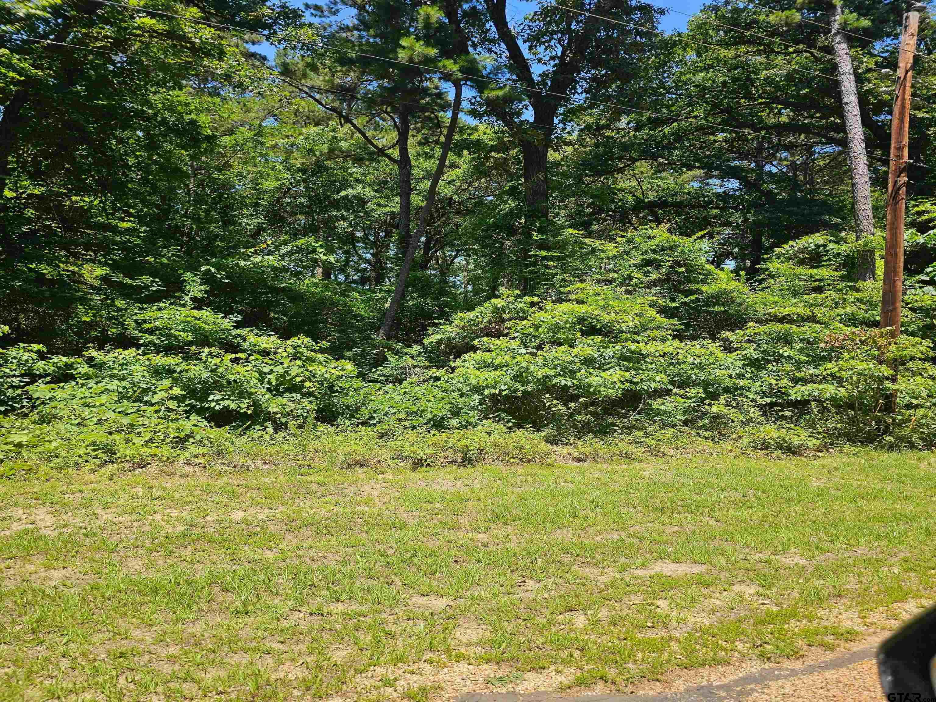 Land in Bullard 2