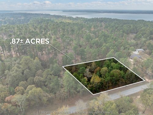 0 Pintail Dr, Flint, TX, 75762 | Card Image