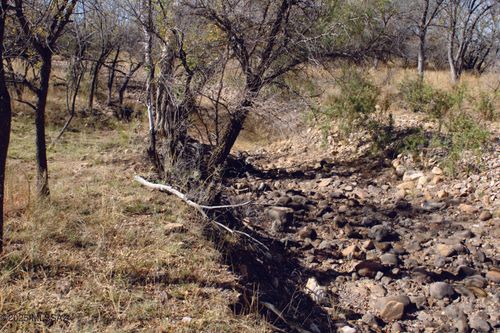 e-10 Acres E Roadrunner Rd, Pearce, AZ, 85625 | Card Image