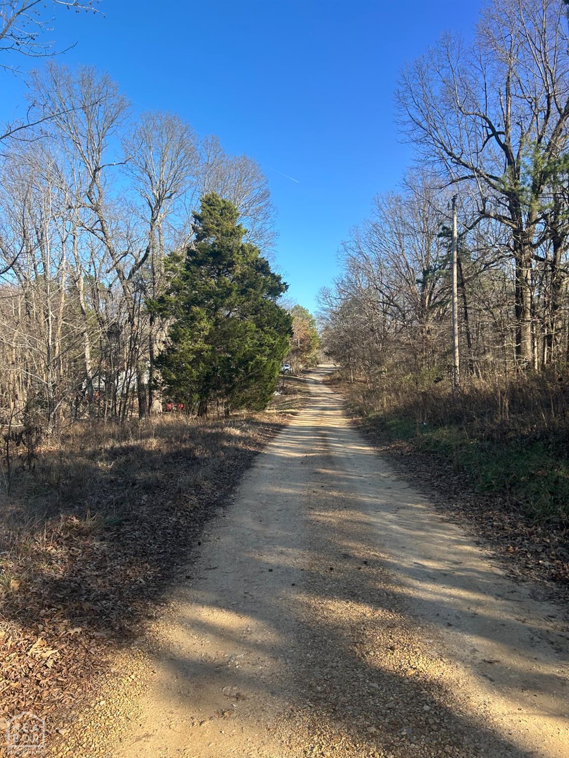 Land in Brookland 4