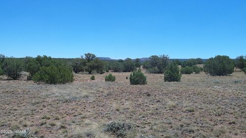 4247 E Pinto Road, Snowflake, AZ, 85937 | Card Image