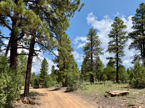 3 Leaning Pine Ln, Ramah, NM, 87321-9801 | Card Image
