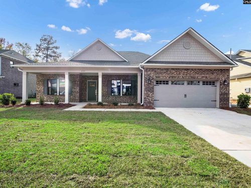 328 Murray Falls Ln, Chapin, SC, 29036-9875 | Card Image
