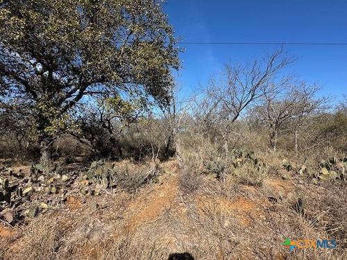 0 TBD Cedar Drive, Granite Shoals, TX, 78654 | Card Image