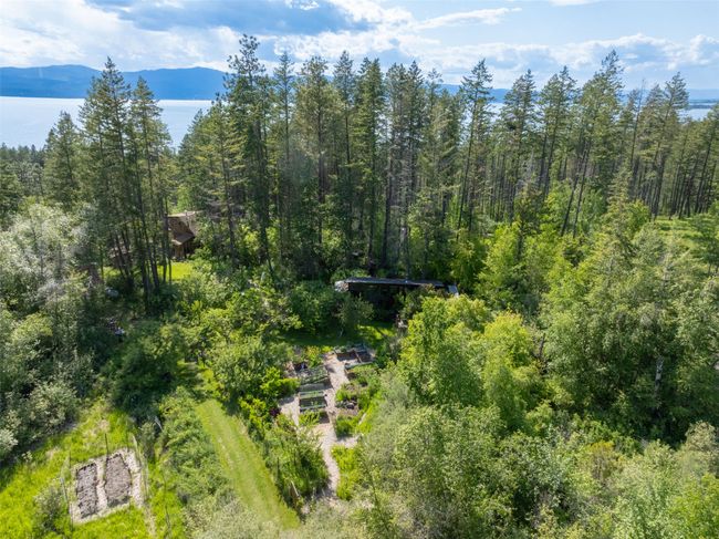 Bird's eye view of a heavily wooded area and a mountainous background | Image 79