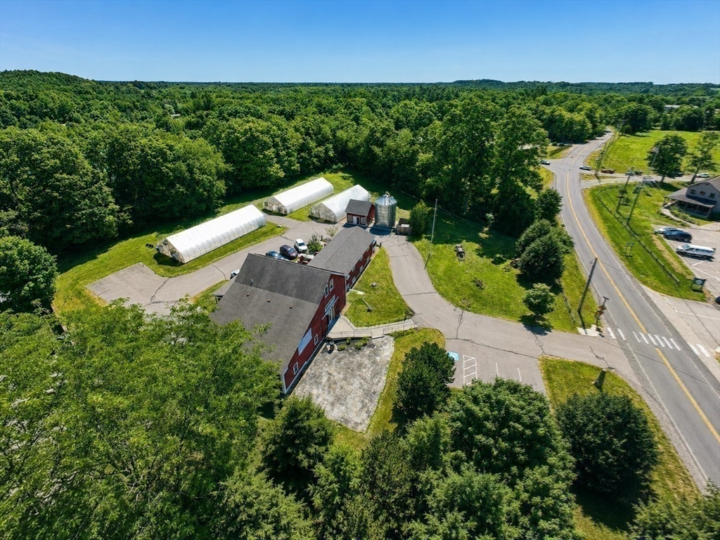 Commercial Lease in Kensington 5