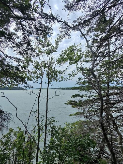 1 Sunset Dr, Eastport, ME, 04631-3875 | Card Image