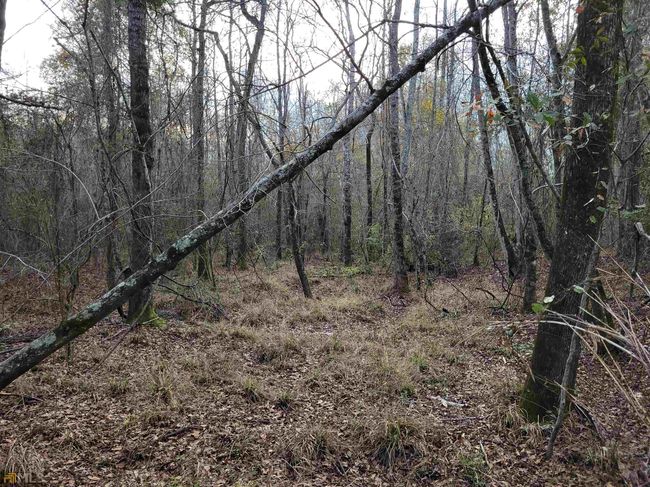 2757 Us Highway 1 N, Home with 0 bedrooms, 0 bathrooms and null parking in swainsboro GA | Image 41