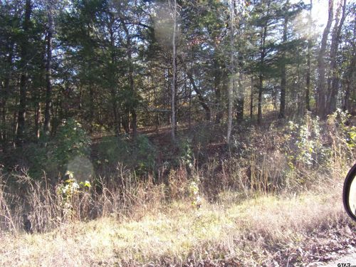 000 Woodcreek Dr, Murchison, TX, 75778 | Card Image