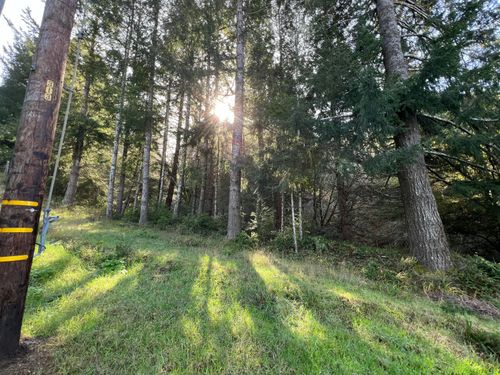 560 Upper Pacific Dr, Whitethorn, CA, 95589 | Card Image