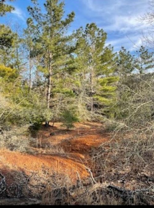 TBD Fm 1469, Marquez, TX, 77865 | Card Image