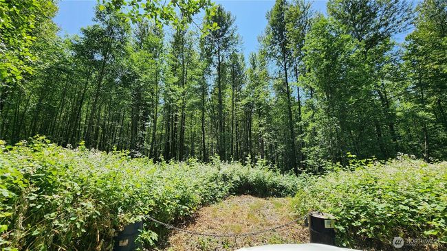 1230 Silverbrook Rd, Home with 0 bedrooms, 0 bathrooms and null parking in Randle WA | Image 19
