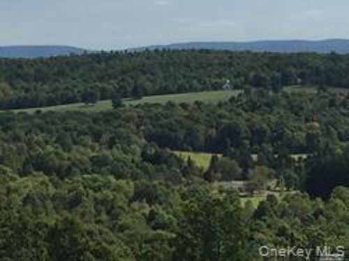 Greeley Road /Rte 27, Taghkanic, NY, 12521 | Card Image