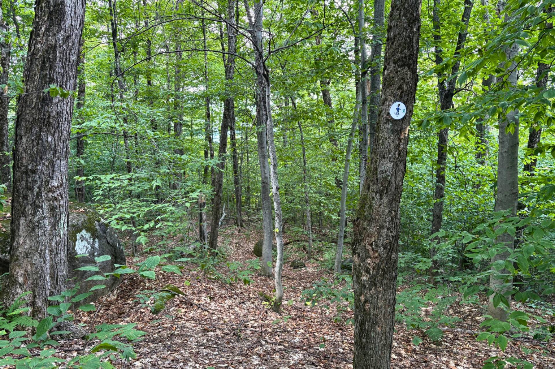 Land in Morin-Heights 4