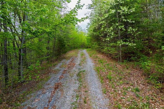 91 - 43 Old Burnt Mountain Rd, Home with 0 bedrooms, 0 bathrooms and null parking in Ellijay GA | Image 11