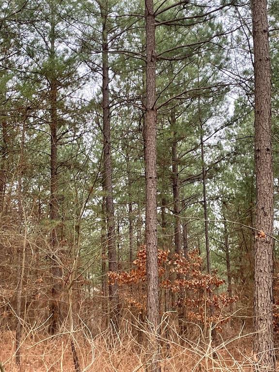 Land in Broken Bow