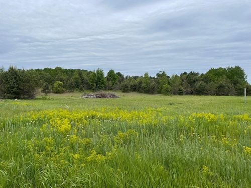 490 Mitchell Rd Se, Kalkaska, MI, 49646-9604 | Card Image