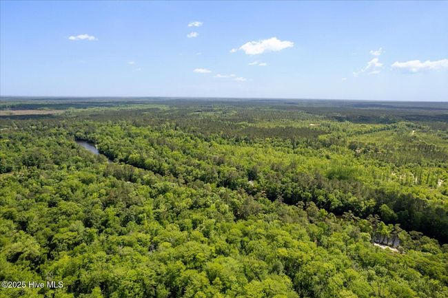 0 Riverview Dr, Home with 0 bedrooms, 0 bathrooms and null parking in Burgaw NC | Image 15