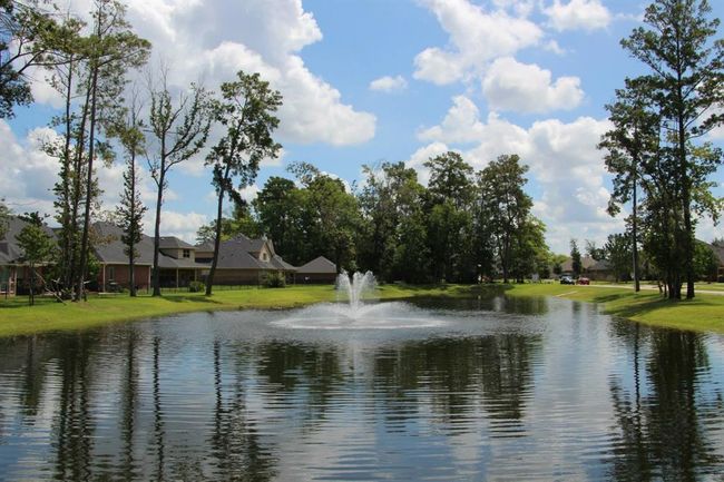 25702 Serene Spring Ln, House other with 4 bedrooms, 4 bathrooms and 2 parking in Spring TX | Image 41