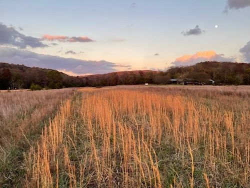 21316 Rothrock Rd, Elkins, AR, 72727-3600 | Card Image