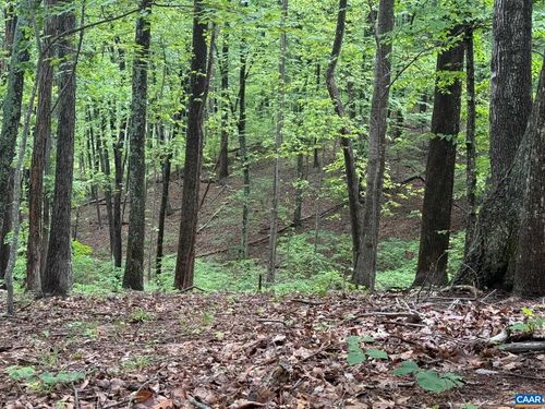 TBD Rabbit Valley Rd, NORTH GARDEN, VA, 22959 | Card Image