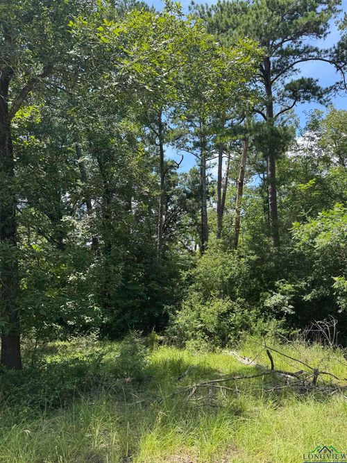 TBD Cortez Rd, Jefferson, TX, 75657 | Card Image