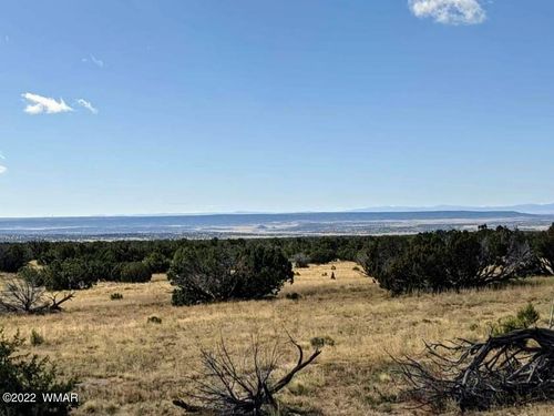 Lot 554 Woodland Valley Ranch, St. Johns, AZ, 85936 | Card Image