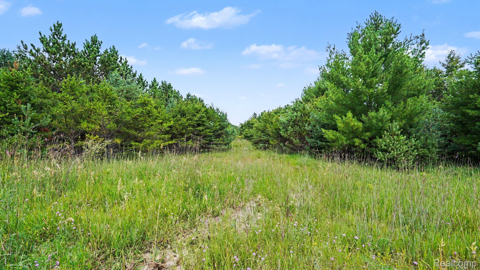 Land in Beaver Creek Township 4
