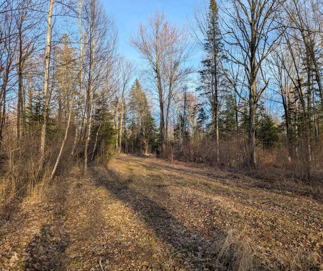 00 Cth X, Home with 0 bedrooms, 0 bathrooms and null parking in PRENTICE WI | Image 31